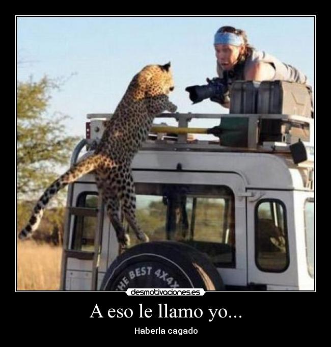 A eso le llamo yo... - Haberla cagado