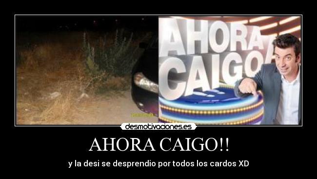 AHORA CAIGO!! - y la desi se desprendio por todos los cardos XD