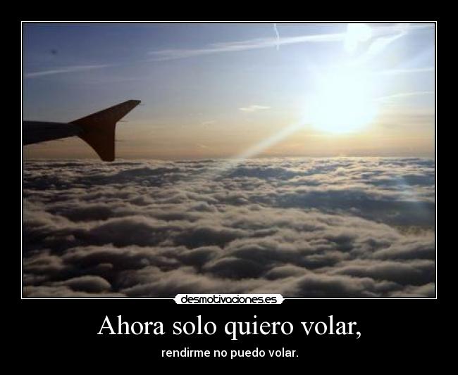 Ahora solo quiero volar, - rendirme no puedo volar.
