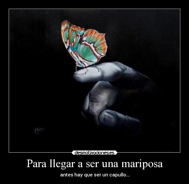 Para llegar a ser una mariposa - antes hay que ser un capullo...