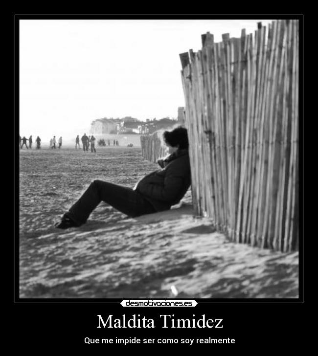 Maldita Timidez -
