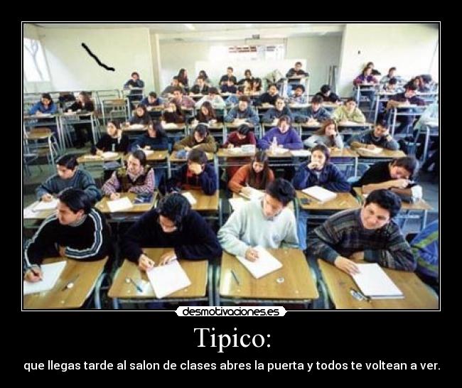Tipico: - 