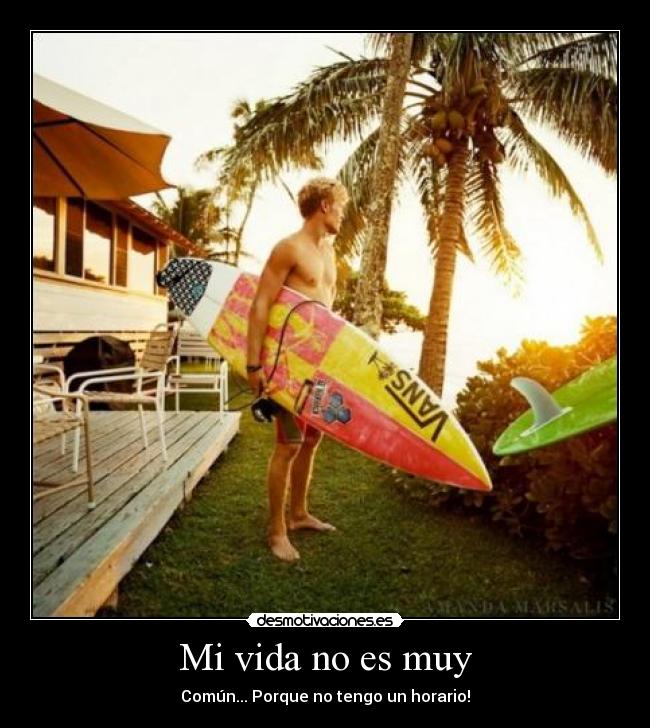 Mi vida no es muy - Común... Porque no tengo un horario!