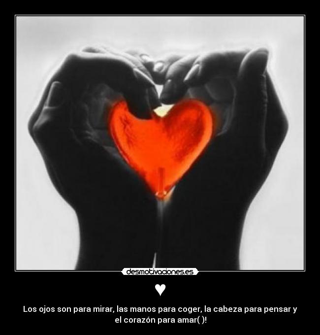 ♥ - Los ojos son para mirar, las manos para coger, la cabeza para pensar y
el corazón para amar(♥)!
