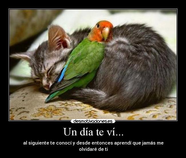 Un día te ví... - 