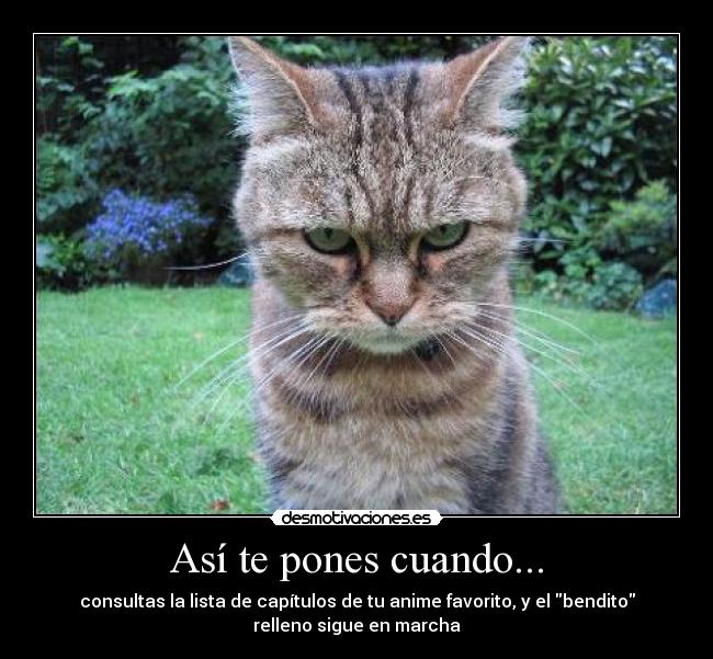 Así te pones cuando... -