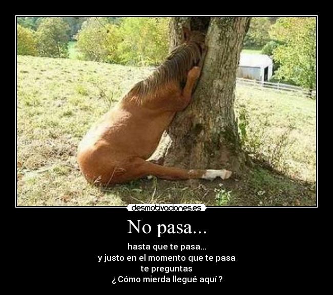 No pasa... -