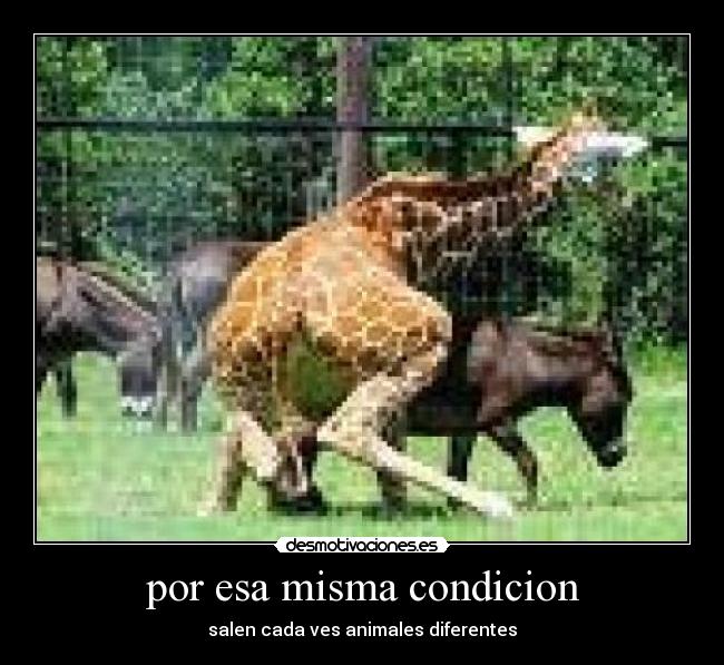 por esa misma condicion - salen cada ves animales diferentes