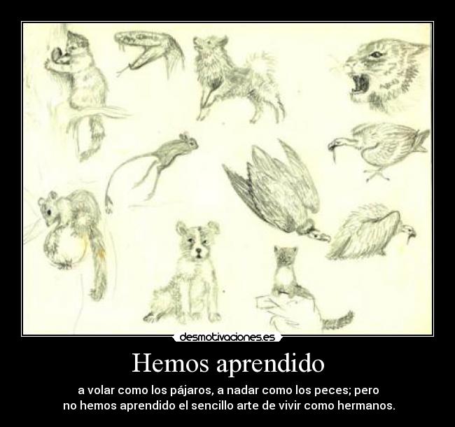 Hemos aprendido - a volar como los pájaros, a nadar como los peces; pero
no hemos aprendido el sencillo arte de vivir como hermanos.