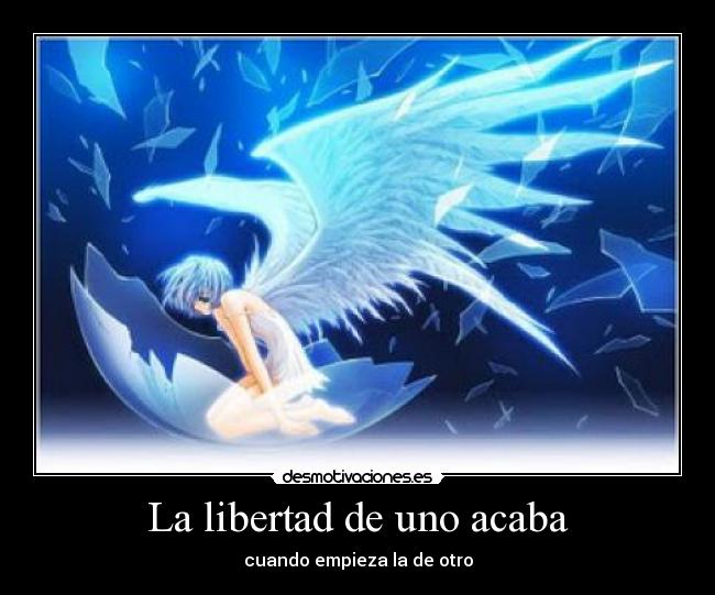 carteles libertad gran frasela decia profe primaria nn raptorhunters desmotivaciones
