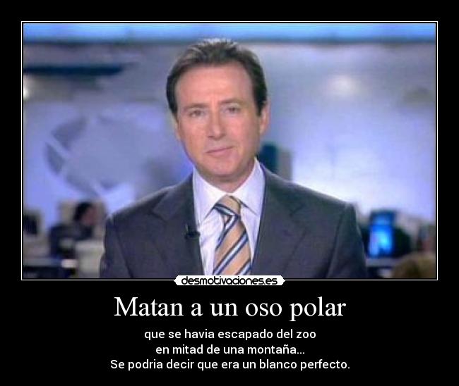 Matan a un oso polar - que se havia escapado del zoo
en mitad de una montaña...
Se podria decir que era un blanco perfecto.