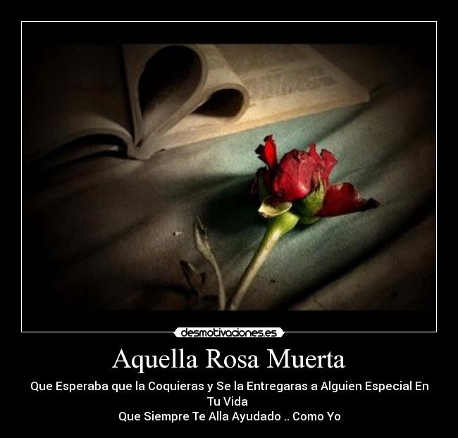Aquella Rosa Muerta - Que Esperaba que la Coquieras y Se la Entregaras a Alguien Especial En Tu Vida
Que Siempre Te Alla Ayudado .. Como Yo