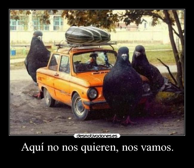 Aquí no nos quieren, nos vamos. - 