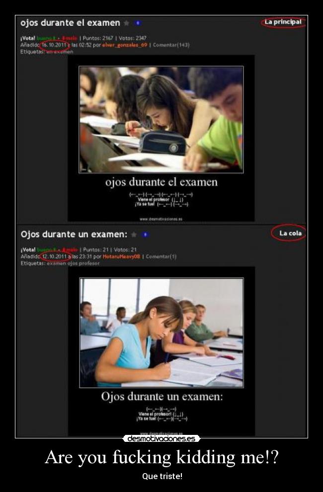 Are you fucking kidding me!? -