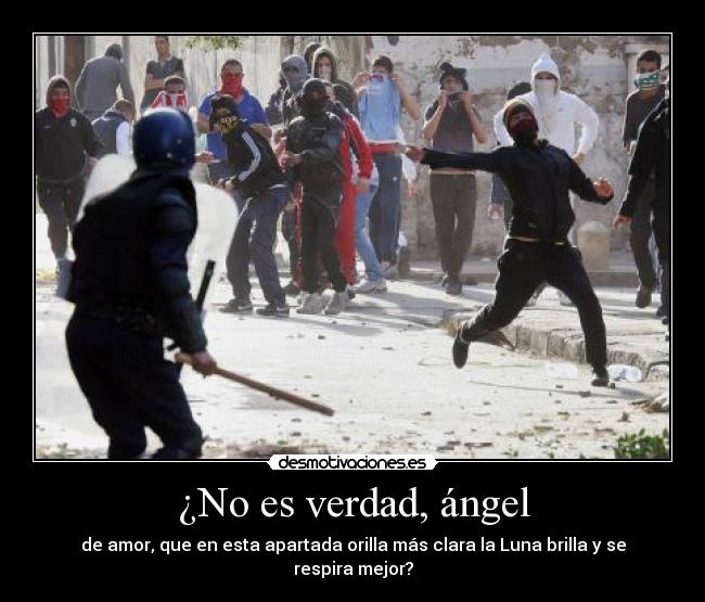 ¿No es verdad, ángel - de amor, que en esta apartada orilla más clara la Luna brilla y se respira mejor?