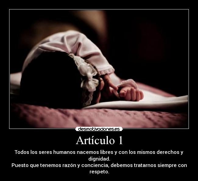 carteles declaracion universal los derechos humanos dudh desmotivaciones