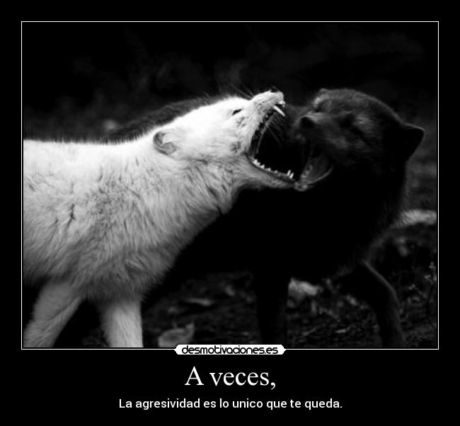 A veces, - La agresividad es lo unico que te queda.