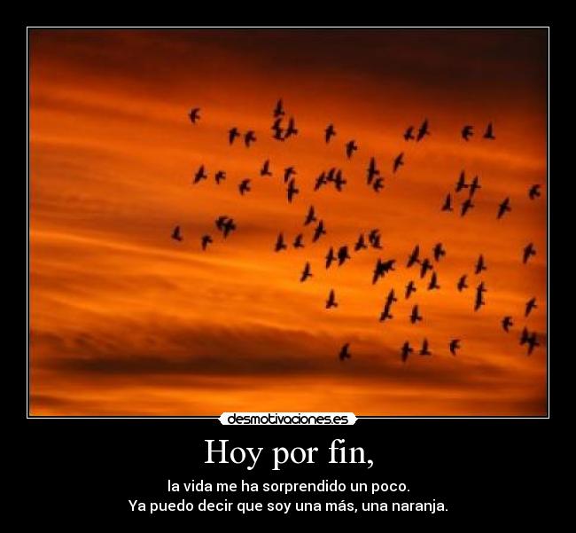 Hoy por fin, - la vida me ha sorprendido un poco.
Ya puedo decir que soy una más, una naranja.