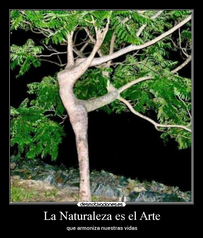 La Naturaleza es el Arte - que armoniza nuestras vidas