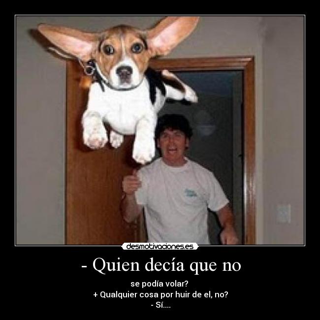 - Quien decía que no -
