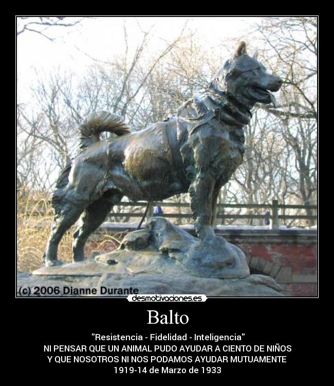 Balto - 