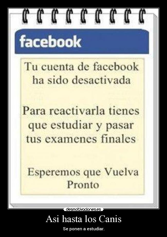 Asi hasta los Canis - Se ponen a estudiar.