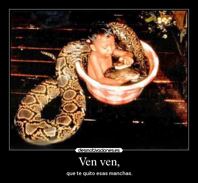 Ven ven, - 