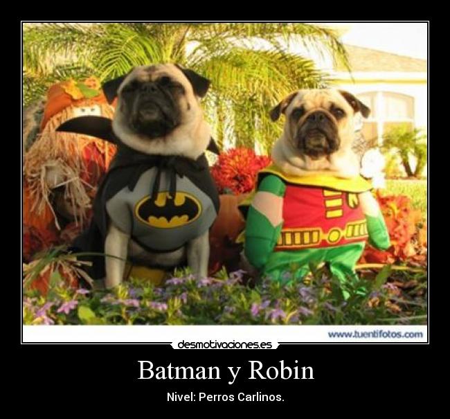 Batman y Robin -