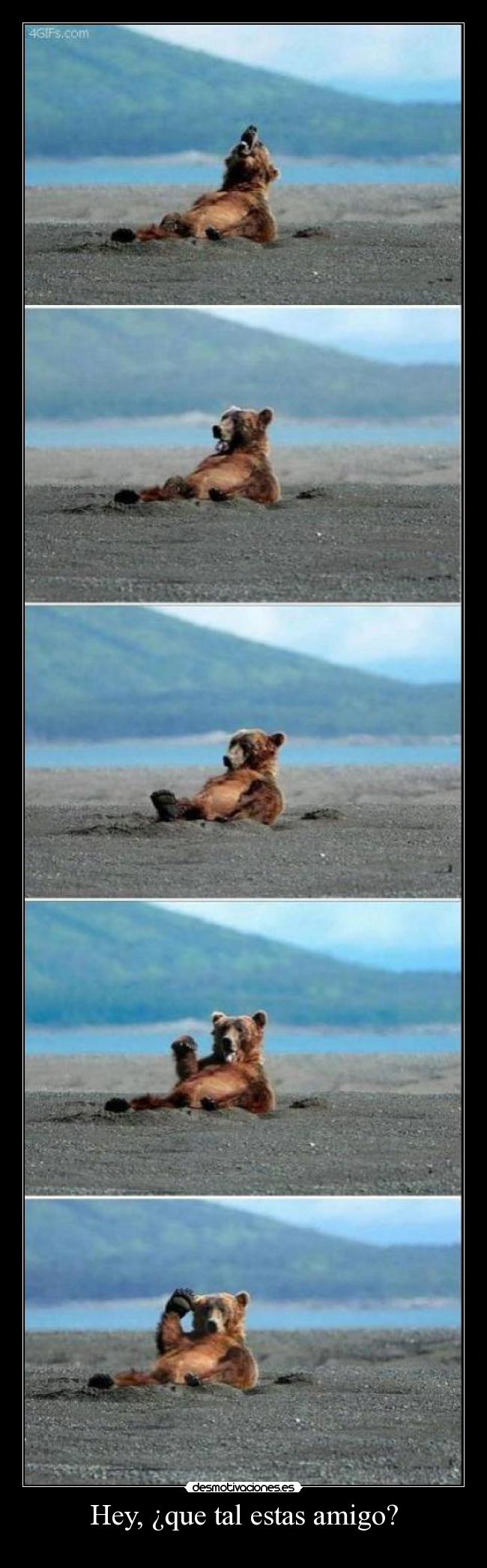 Hey, ¿que tal estas amigo? - 