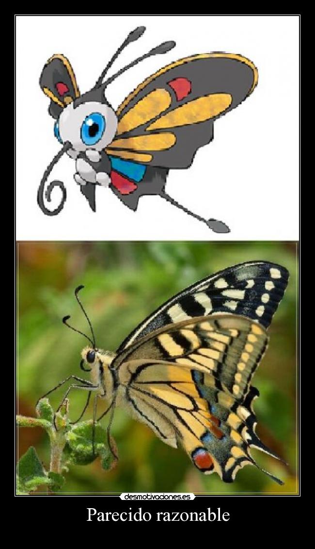 Parecido razonable - 