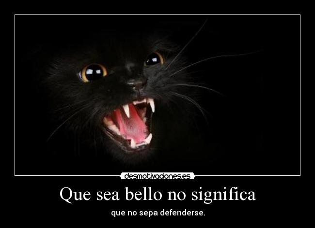 Que sea bello no significa - que no sepa defenderse.