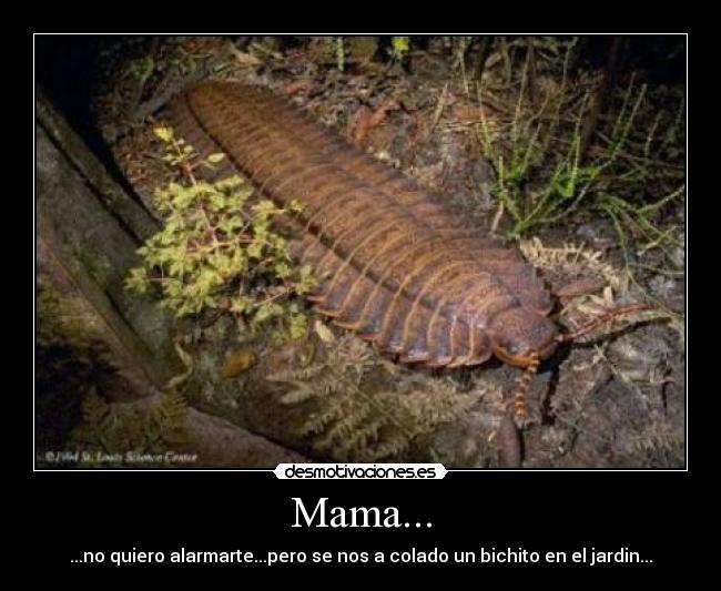 Mama... -
