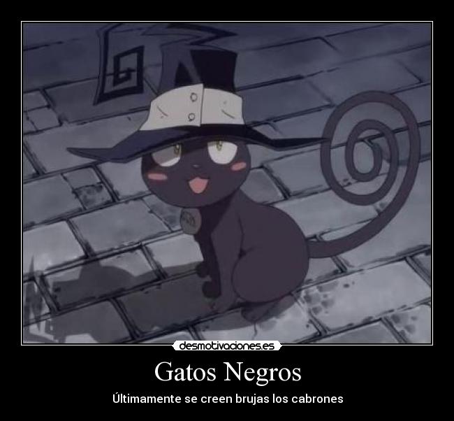 Gatos Negros - Últimamente se creen brujas los cabrones