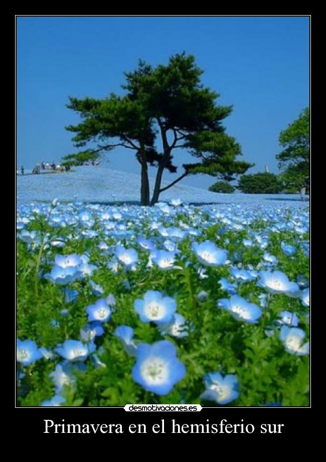 Primavera en el hemisferio sur - 