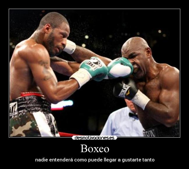 Boxeo - 