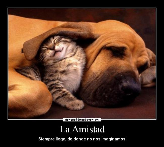 La Amistad - Siempre llega, de donde no nos imaginamos!