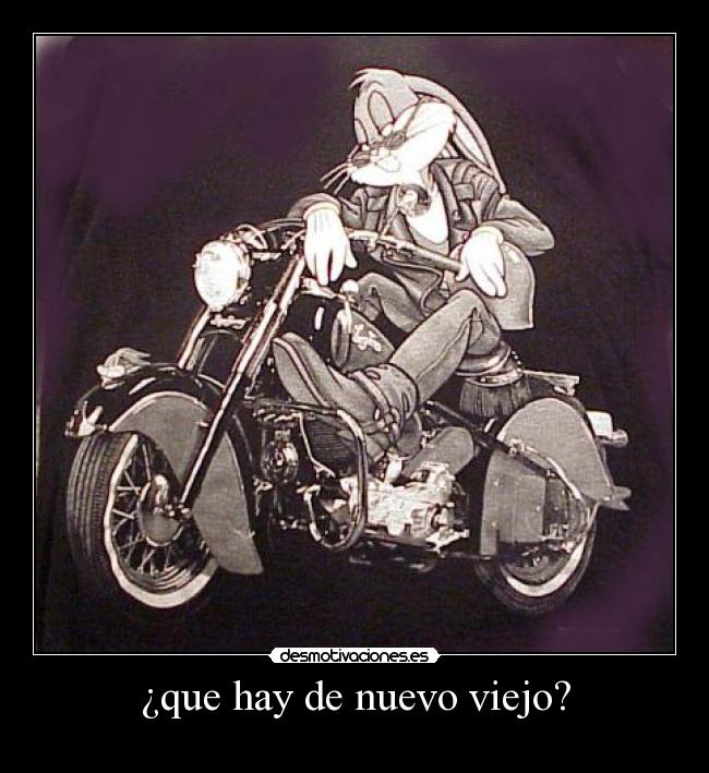 ¿que hay de nuevo viejo? -