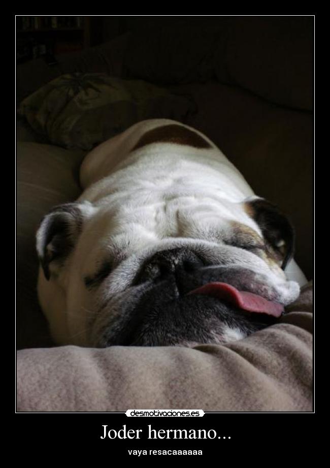 Joder hermano... -