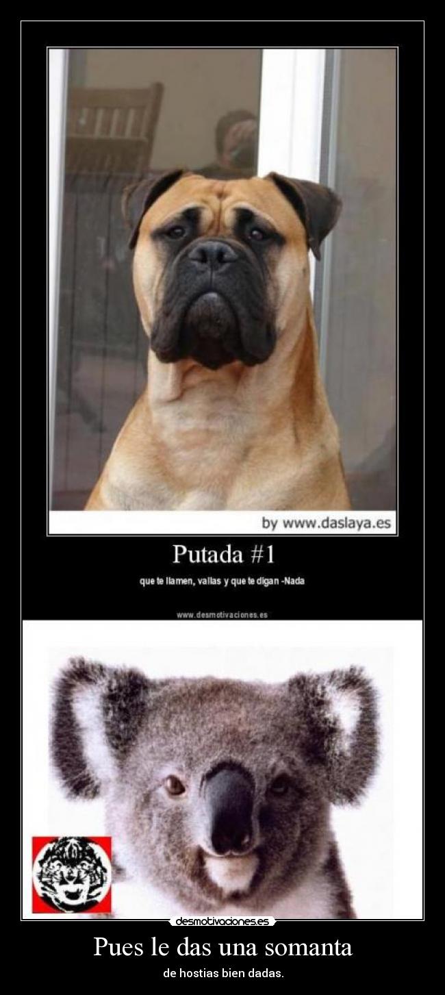 carteles kolangi vuelto clanng clantigretoneh odio walt kitalkie desmotivaciones