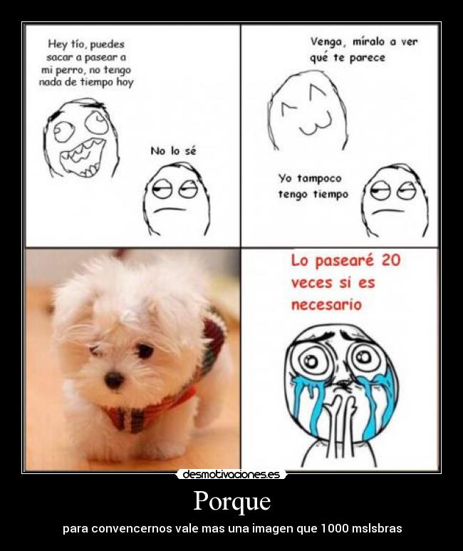 Porque - para convencernos vale mas una imagen que 1000 mslsbras