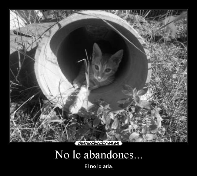 No le abandones... - El no lo aria.