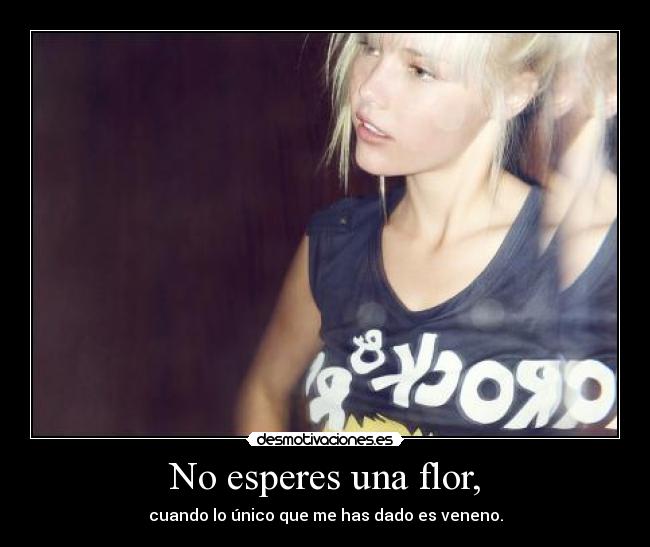 No esperes una flor, - 