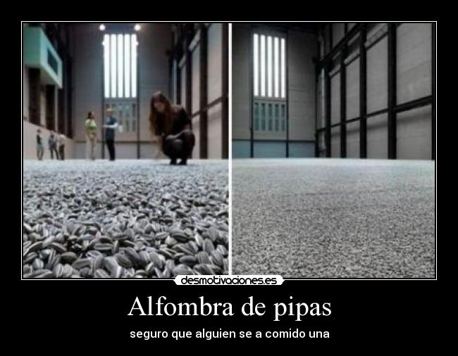 Alfombra de pipas - seguro que alguien se a comido una