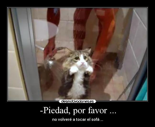 -Piedad, por favor ... - 