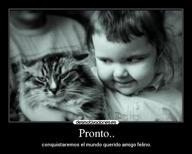 Pronto.. - conquistaremos el mundo querido amigo felino.