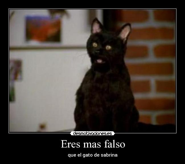 Eres mas falso - que el gato de sabrina