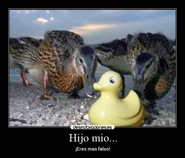 Hijo mio... - ¡Eres mas falso!