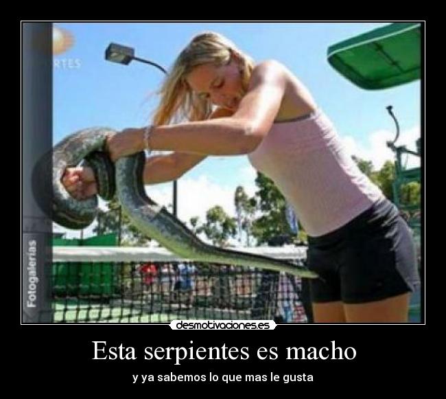 Esta serpientes es macho - y ya sabemos lo que mas le gusta