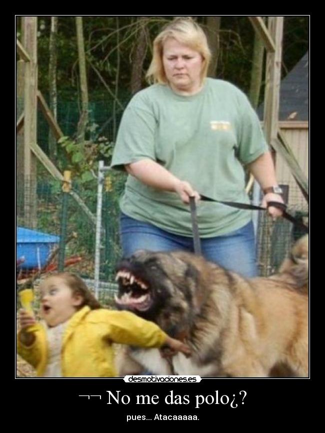 ¬¬ No me das polo¿? - pues... Atacaaaaa.
