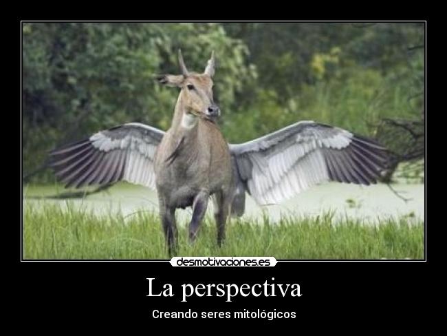 La perspectiva -